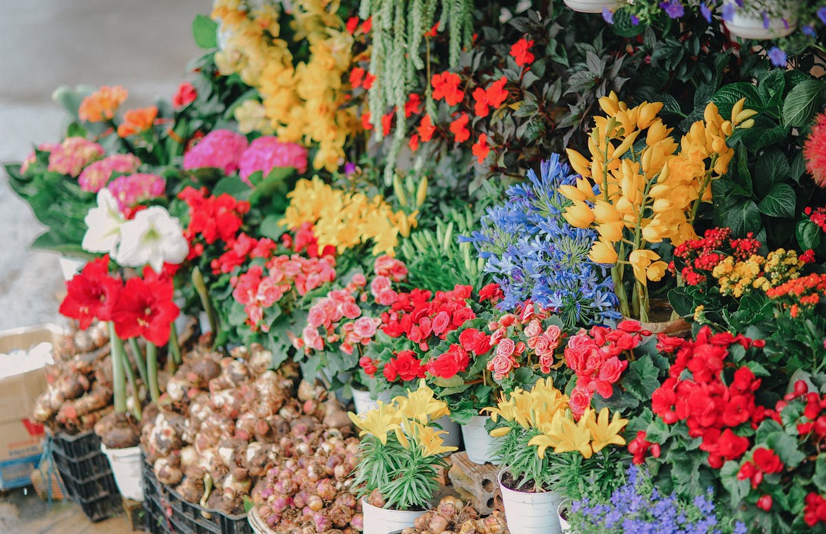 Kleurrijke bloemen op markt