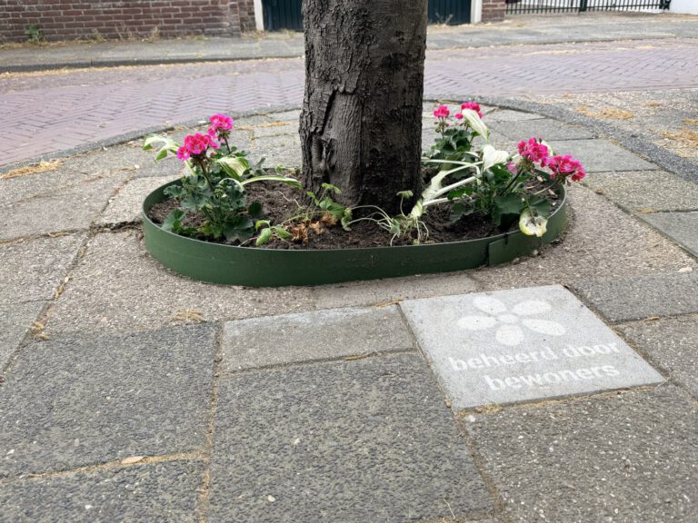 Boomspiegel met bloemen en tegel beheerd door bewoners