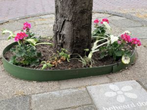Beplante boomspiegel met bloemen rondom de boom