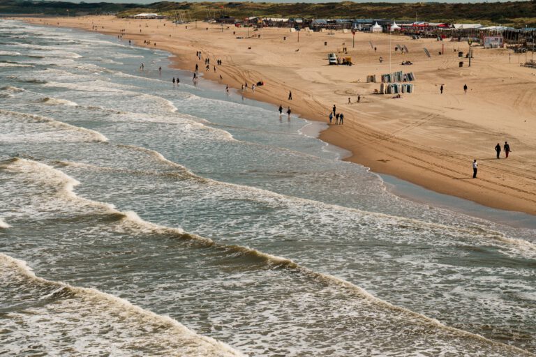 Een eerste blik op de zomeragenda