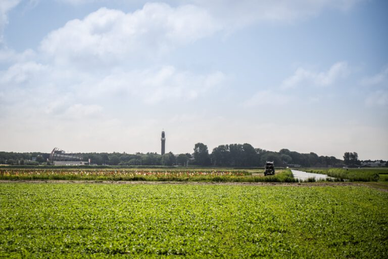 Jaarrekening 2025: gemeente Noordwijk bouwt verder aan sterke dorpen
